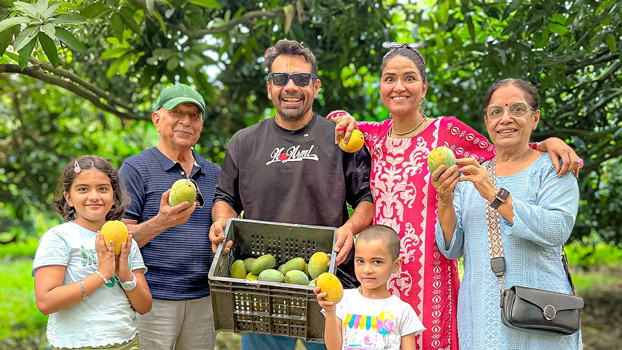 Our Mango Farm | Flying Beast
