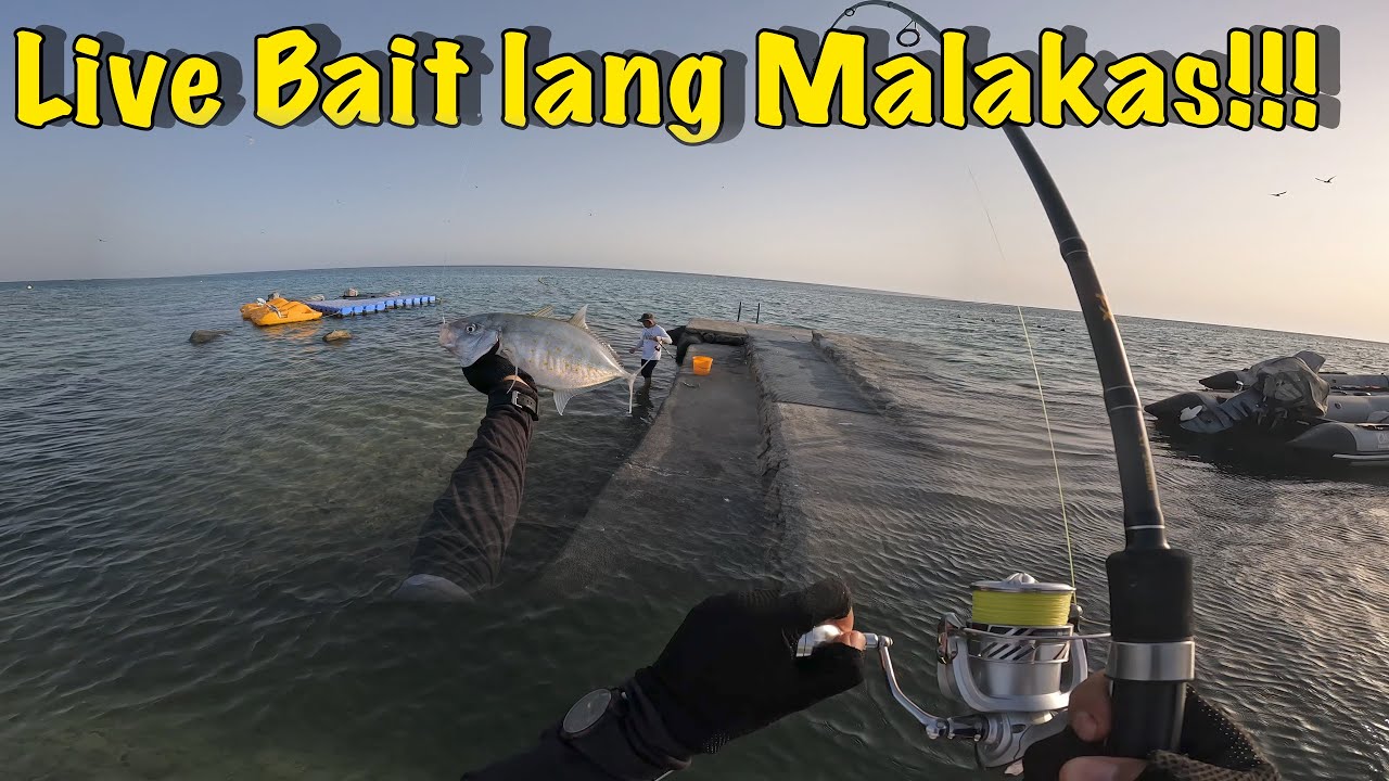 Live Bait | Medium Heavy Setup | malupit na spot!!!