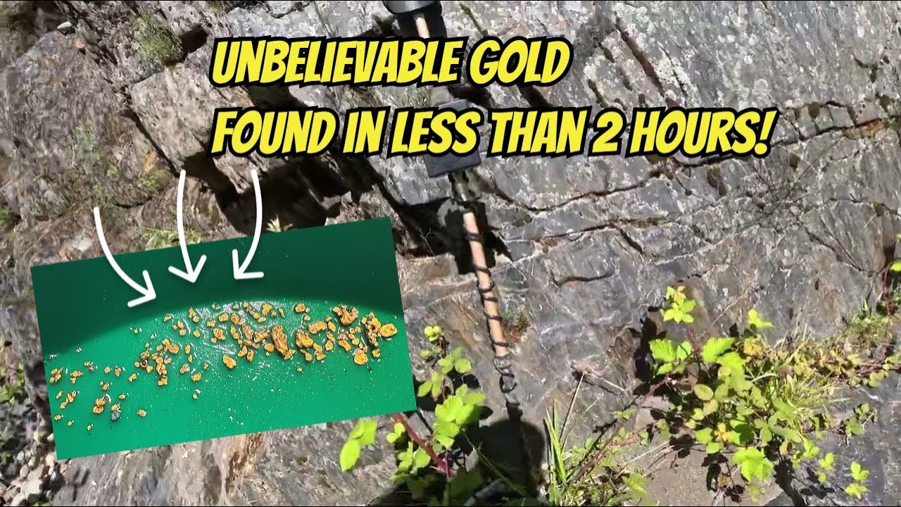 Невероятная находка золота всего за 2 часа на реке Американ-Ривер!