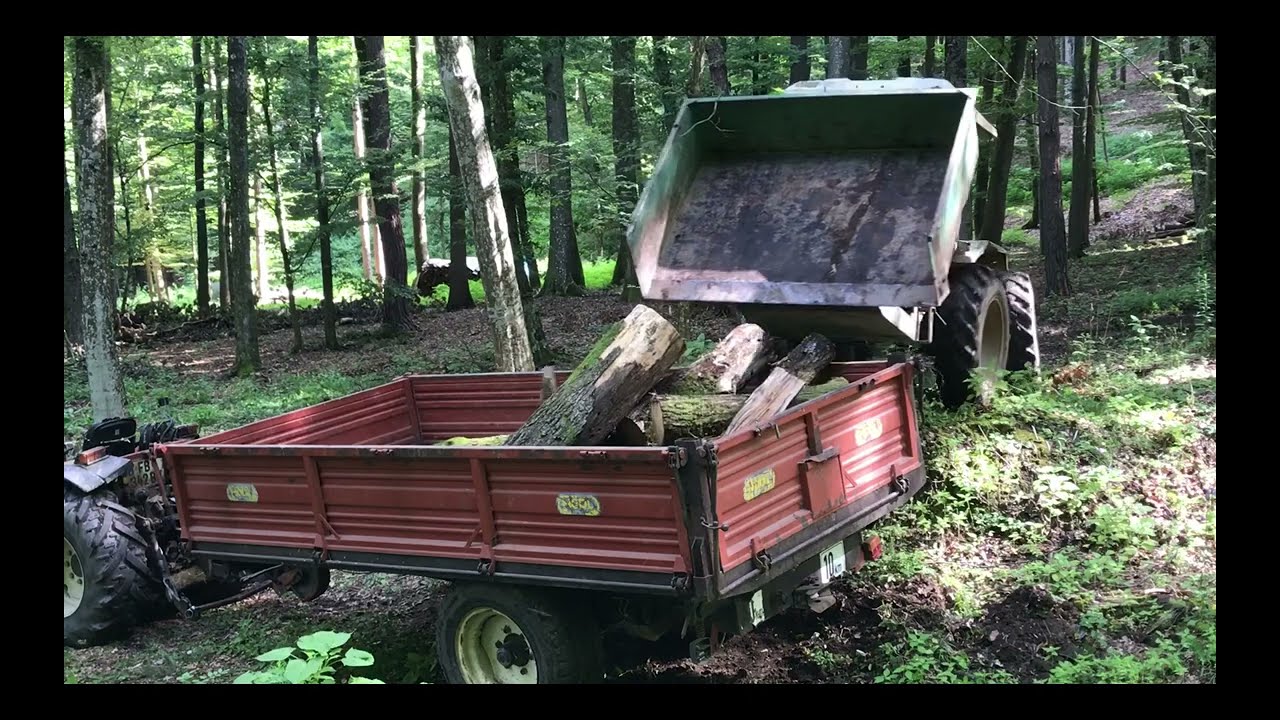 Kumma Joga-Wald - Holztransporte - 28.07.2023