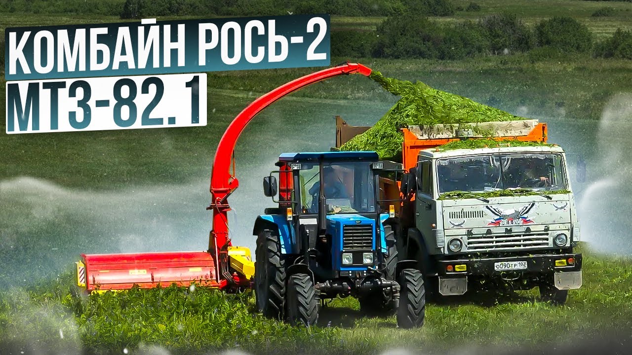 Как фермер заготавливает корма? Трактор МТЗ-82.1 работает с кормоуборочным комбайном РОСЬ-2!