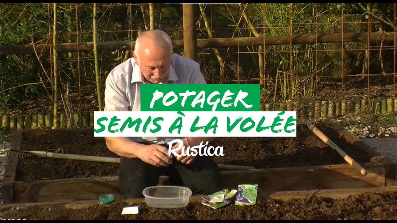 Semer &agrave; la vol&eacute;e des l&eacute;gumes au potager en mars