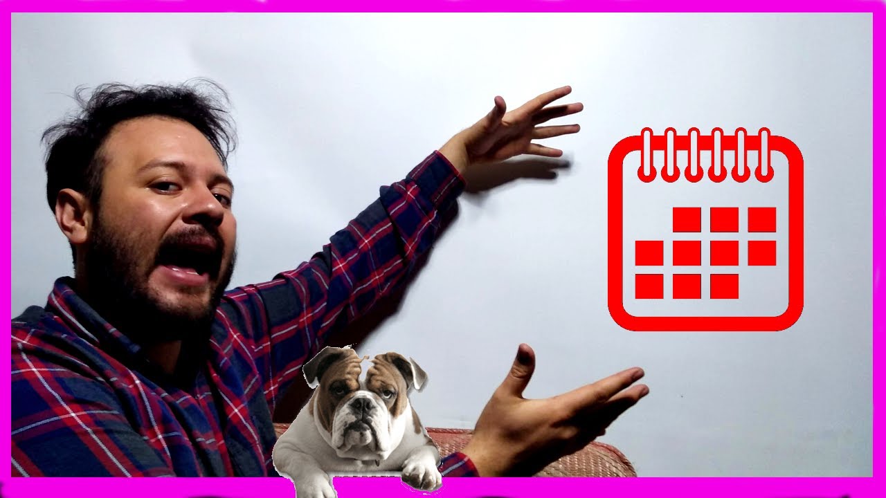 Calendario de embarazo de una perrera  - cuando pare una perra
