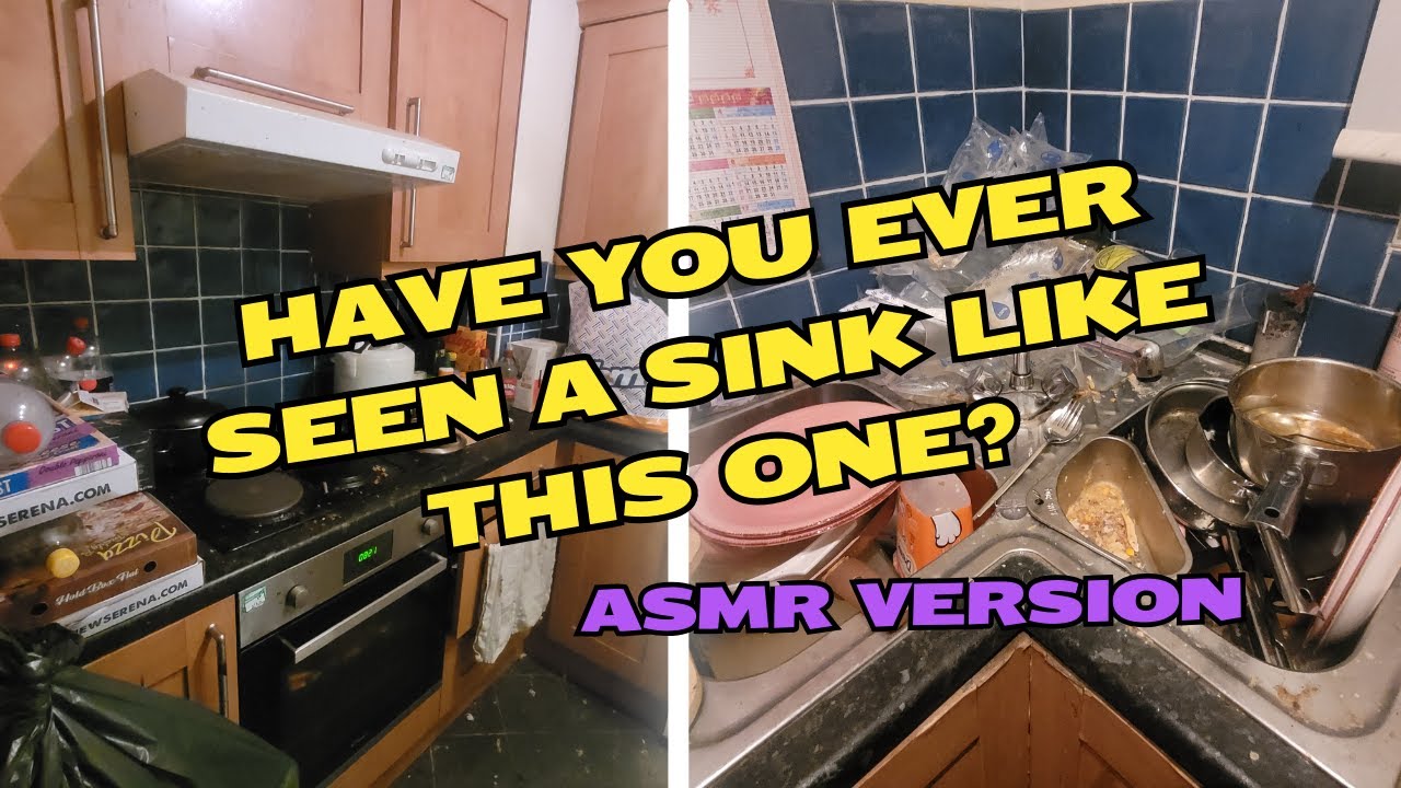 ASMR Version - Kitchen clean for neurodivergent lady to avoid eviction before landlord inspection!