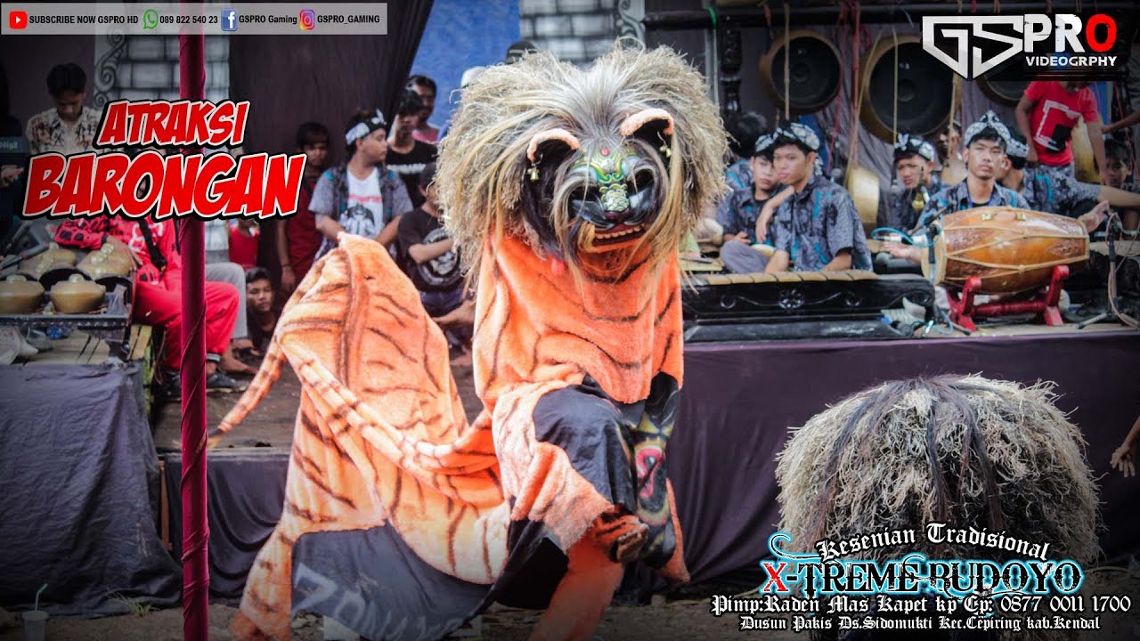 Barongan Kendal X-Treme Budhoyo | Anniversary 1th | Barongan Siang