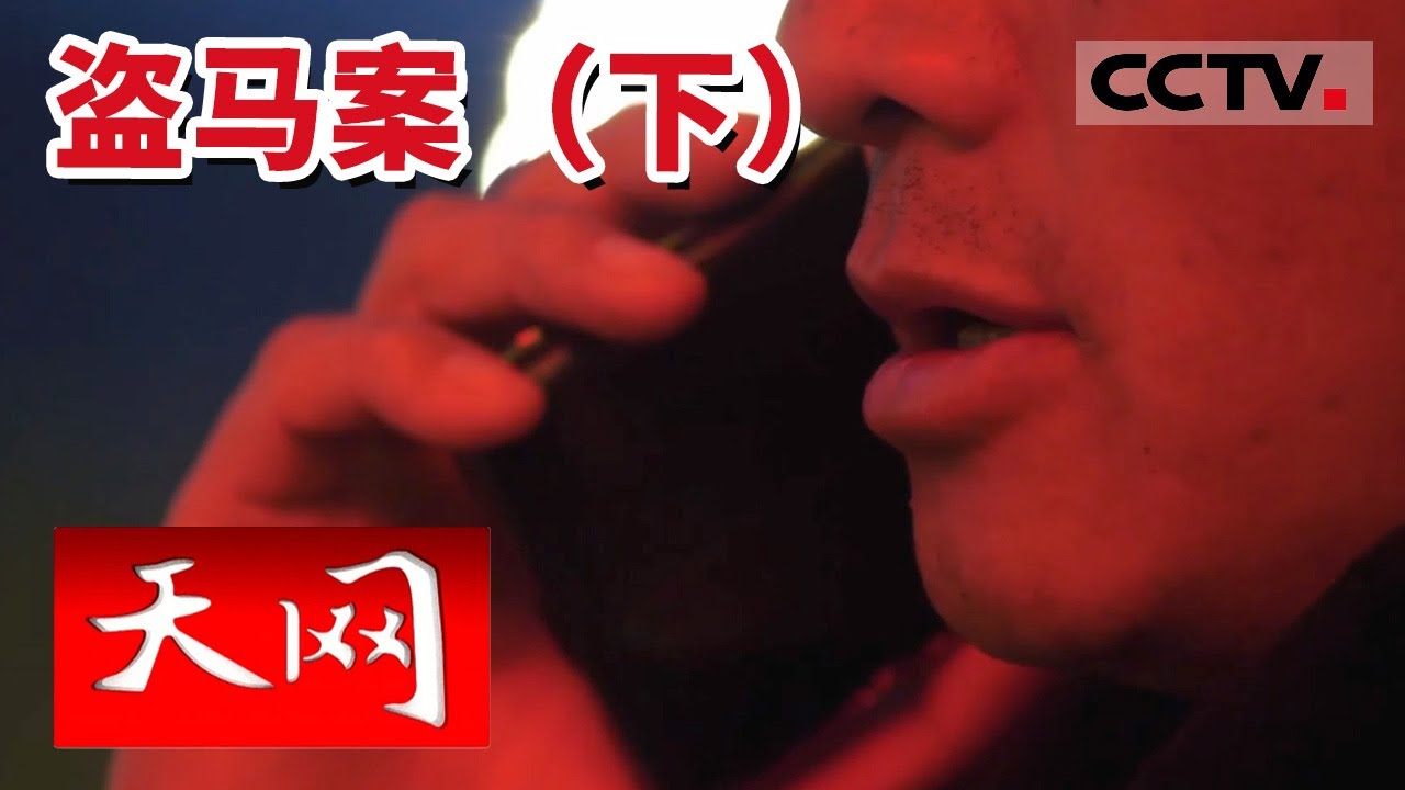 《天网》四川甘孜牧民丢失7匹马 盗窃者究竟是谁？20240116 | CCTV社会与法