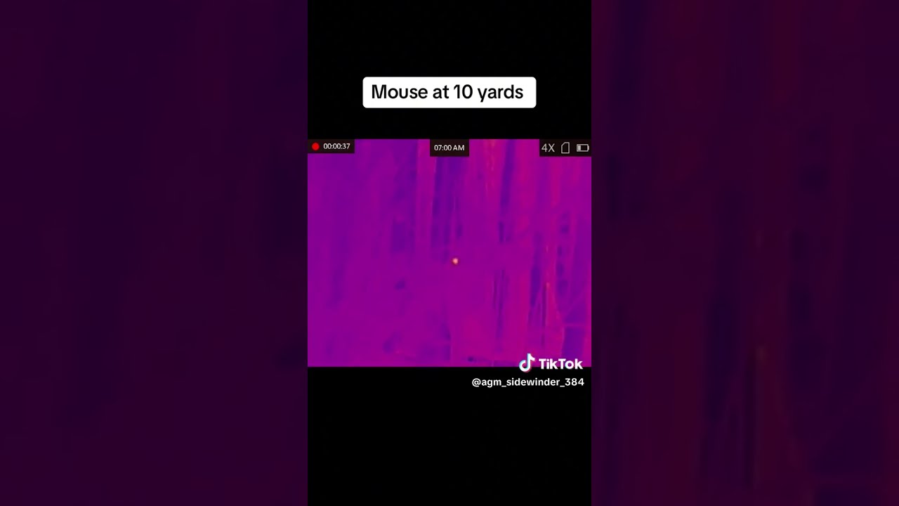 Link in comments 