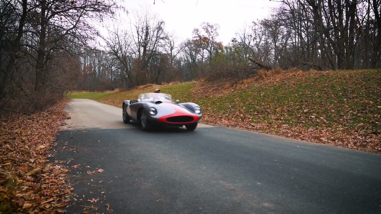 The Devin 295