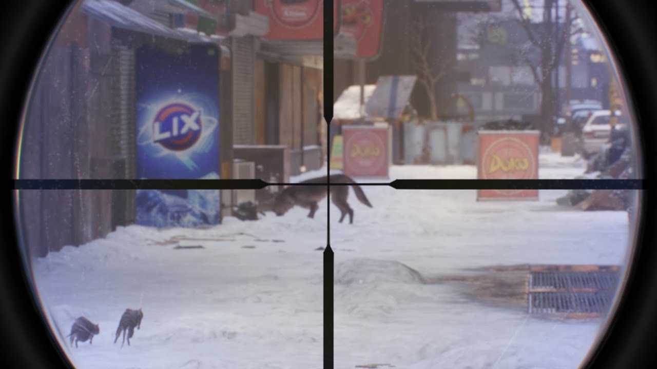 You can shoot dogs!