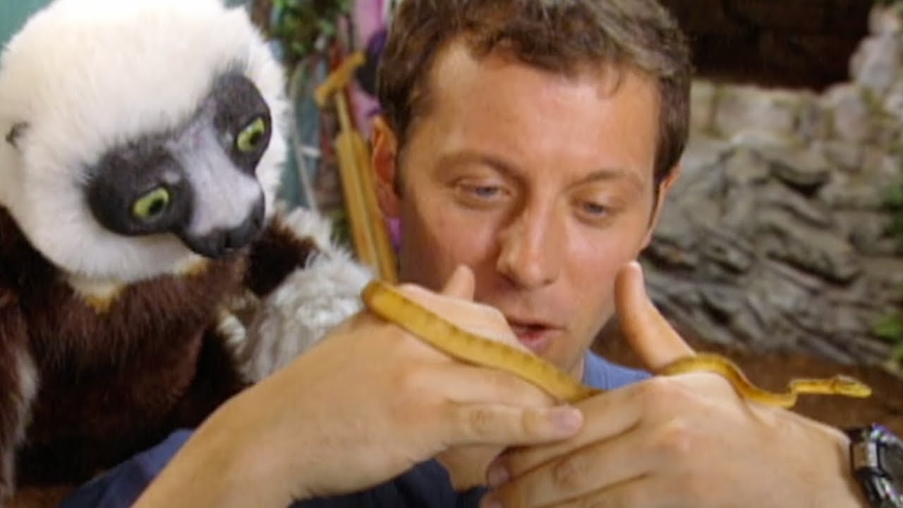 Zoboomafoo - Amazon Tree Boa | WildBrain Zoo | Animal Lovers Kids Show