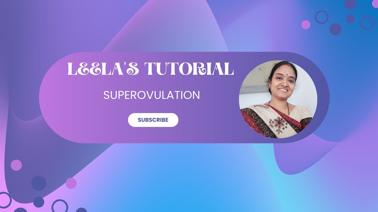 Superovulation - Animal Biotechnology Lecture 17 @leelamani4091