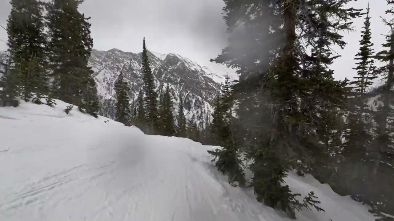 Snowbird Ski Resort: A Rainy  day in the Forbidden Forest and Gad Bowl