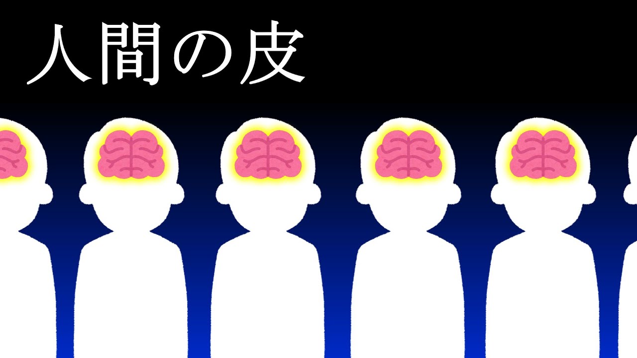 人間の皮