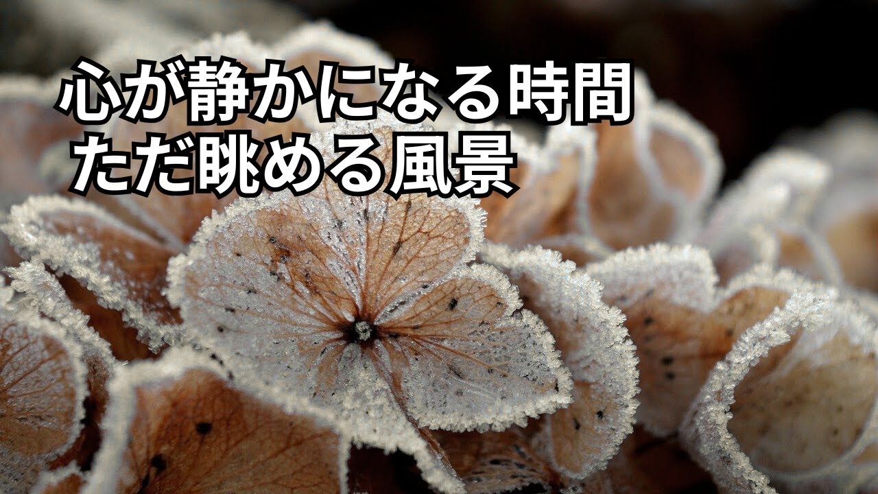 疲れた心に、そっと寄り添う風景と言葉