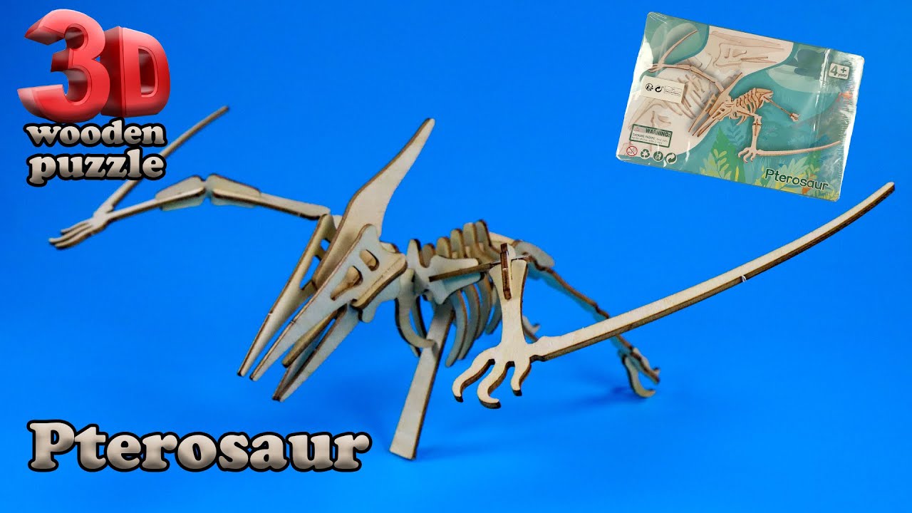Wooden 3D puzzle. Assembling the skeleton Pterosaur