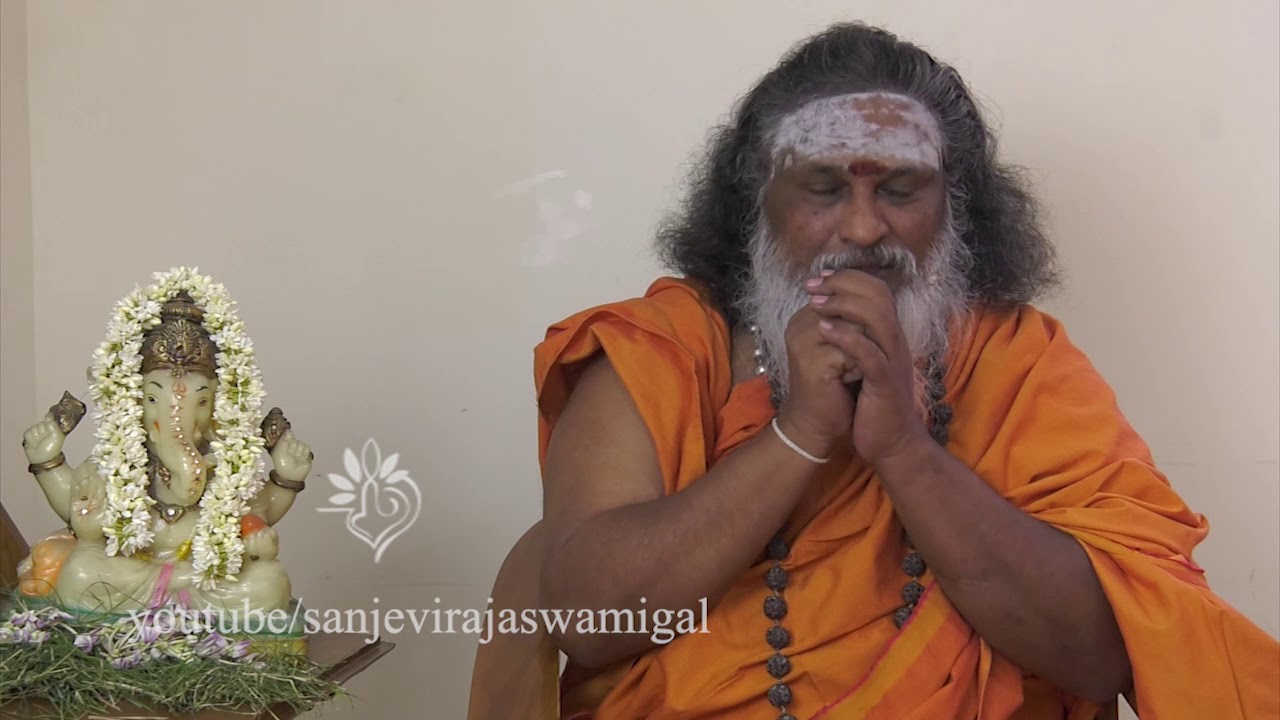 இப்படி நட்டு பாருங்கள்- பயிர், செடி, கொடி,  மரங்களை