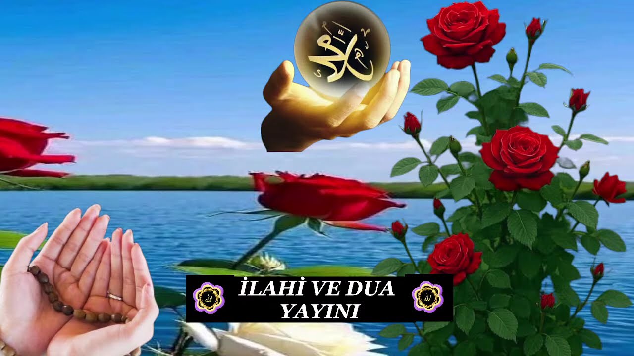 ZİKRE DALMIŞ BÜTÜN ALEM