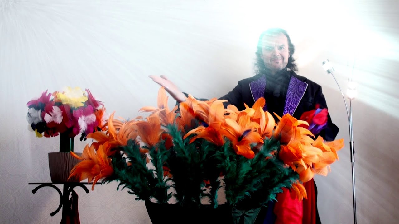 Discovery of Magical Feather Flowers