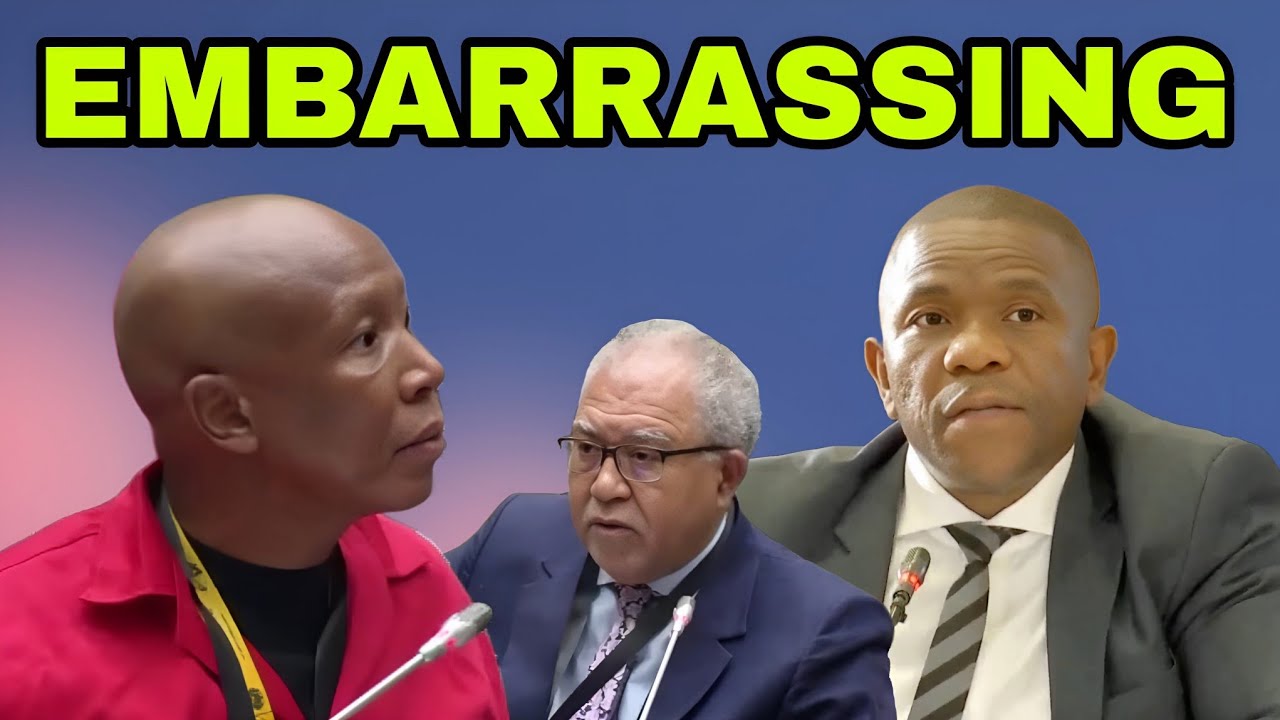 Джулиус Малема прервал адвокатов General Mkhwanazi & Grill за дачу ложных показаний.