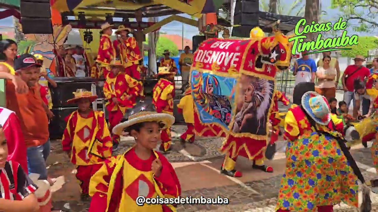 Boi Disnove, Timbaúba, Carnaval 2026