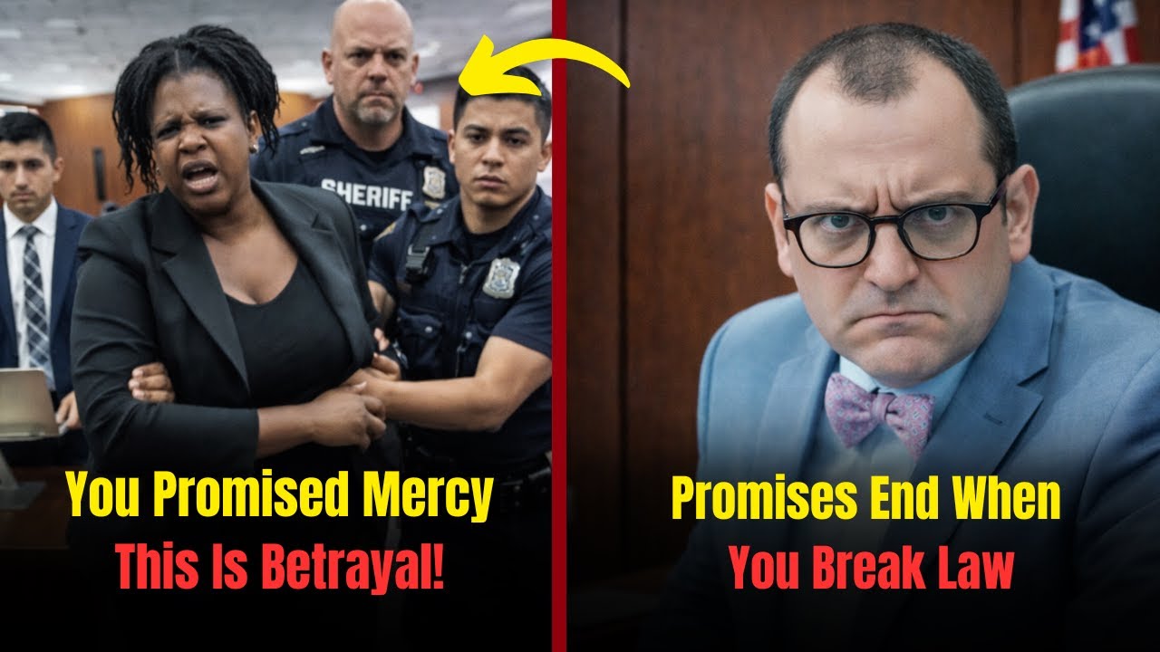 Court Promise Broken in Days — Judge Fleischer Shows Zero Mercy
