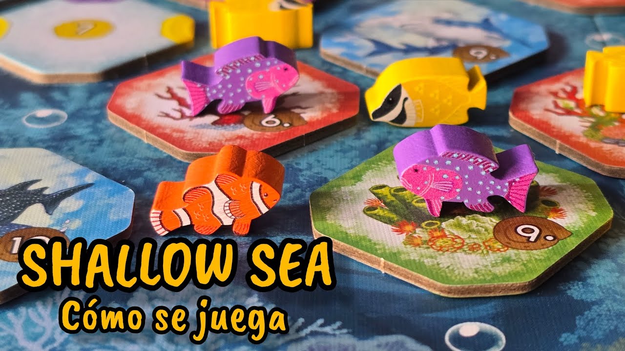 SHALLOW SEA - Cómo se juega | Tutorial en español 