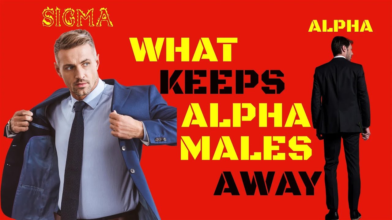 10 Shocking Reasons Why Alpha Males Never Cross Sigma Males