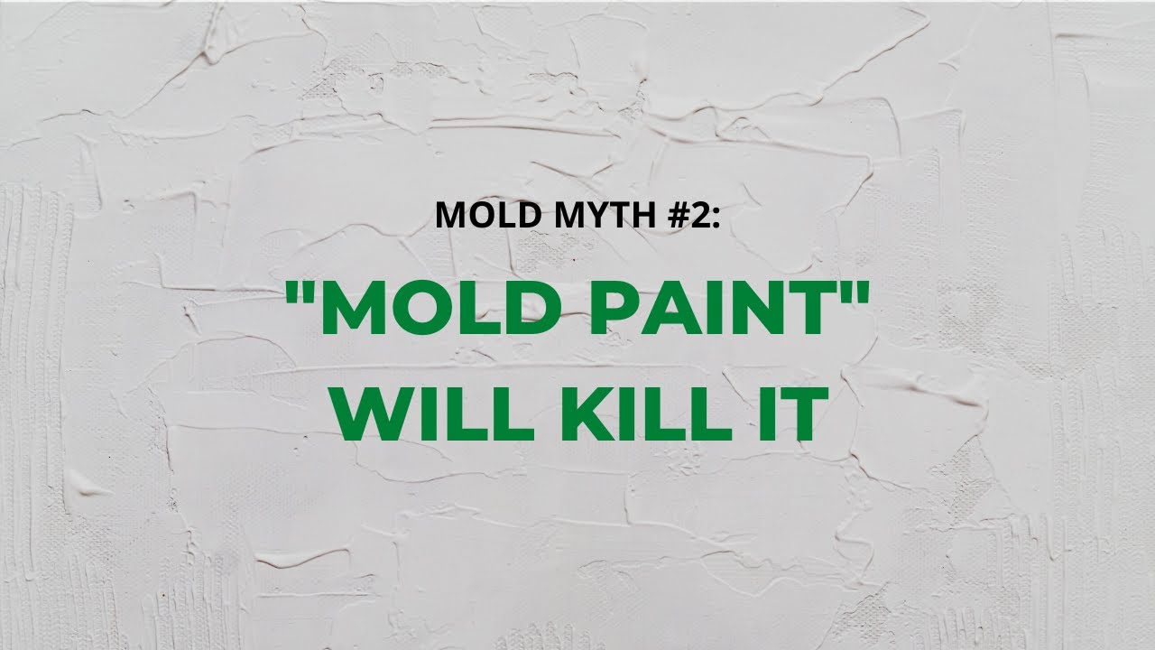 Mold Myth #2: Painting Over Mold With 