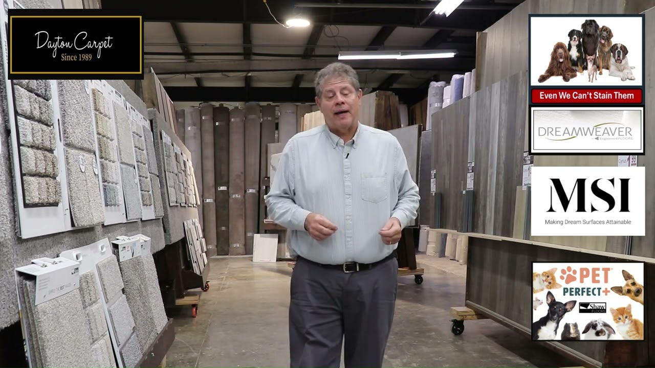 Dayton carpet   introduced the countries largest free sample showroom