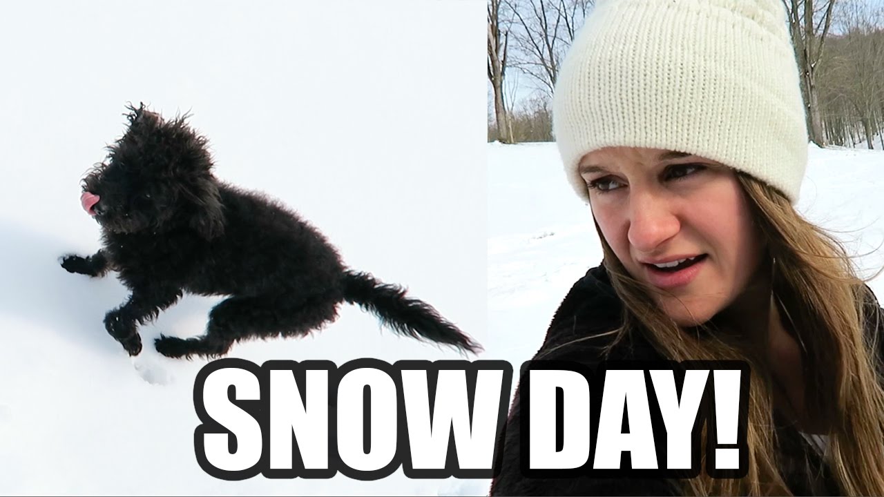 SNOW DAY WITH THE PUP!