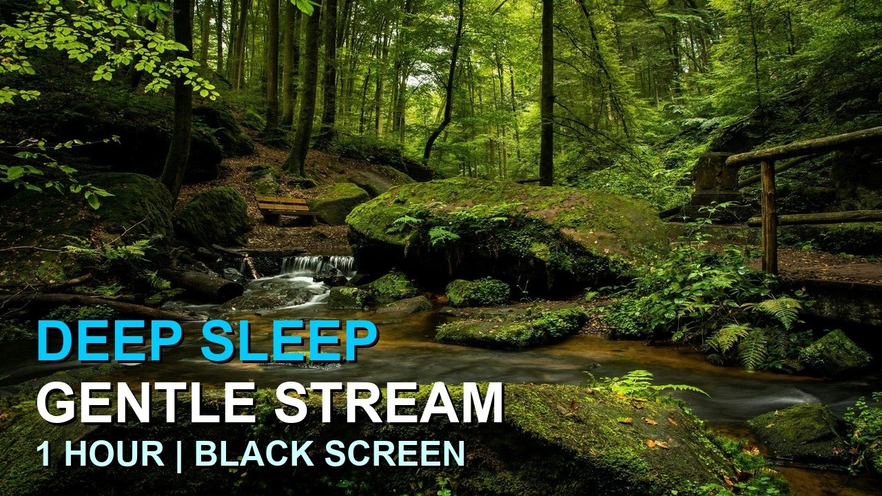 GENTLE STREAM Sounds for Deep Sleep | 1 Hour Relaxing Water Black Screen