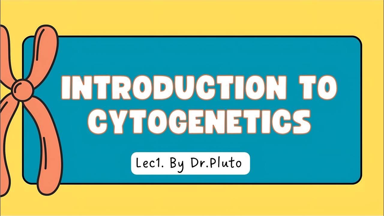 The Nucleus and Human Chromosome - Unit 1 Cytogenetics - IMB | Dr. Pluto Courses
