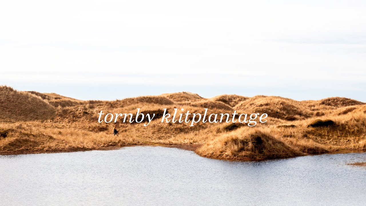 tornby klitplantage (vandretur)