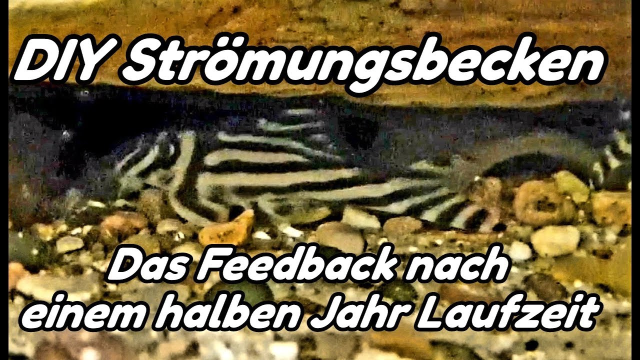 L46 Strömungsbecken - Das Feedback nach einem halben Jahr Laufzeit (#10)
