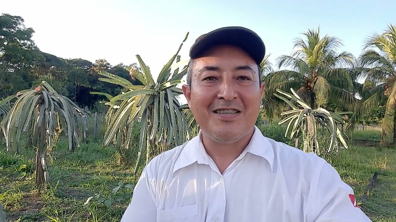 COMO USAR CAL NA PITAYA