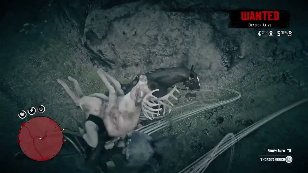 Red Dead Redemption 2_20260301174101