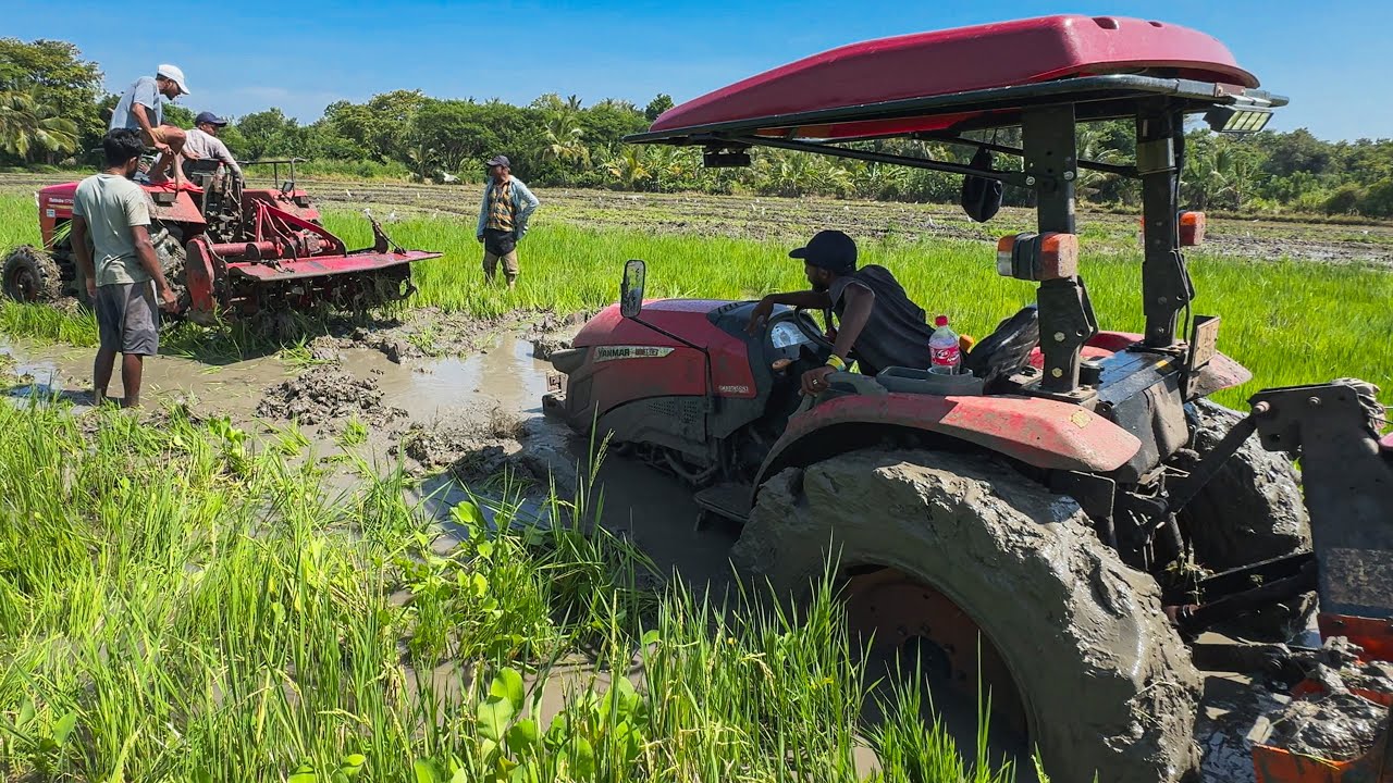 2025 Yanmar Worst Tractor Ever Made Tractors Stuck in Mud! Real Struggles of Farming in Wet Fields
