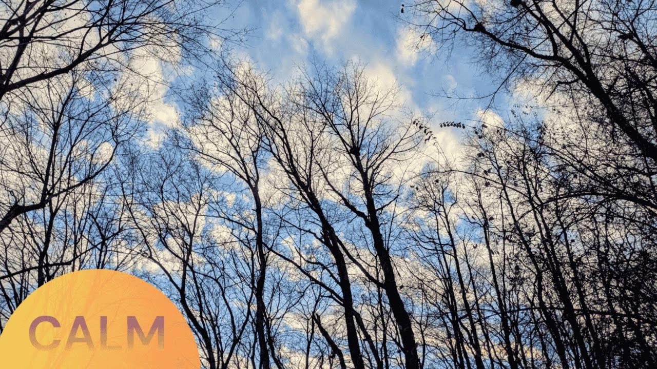 Calm at sunrise – Ambient Morning Road & Nature Sounds for Relaxation & Focus