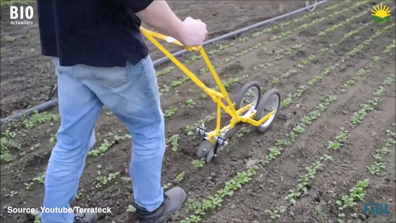 Ruční nářadí pro malé zelinářské podniky