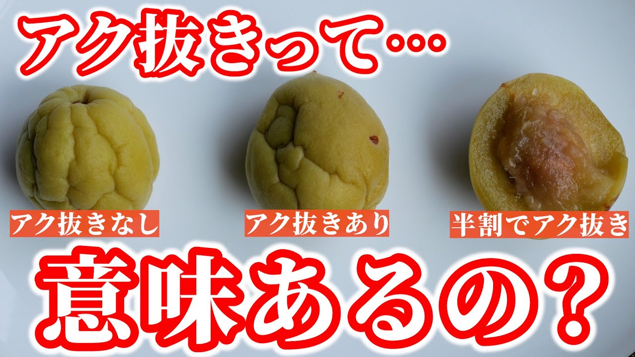 【検証】青梅のアク抜きは意味ある？カリカリ梅で比較してみた