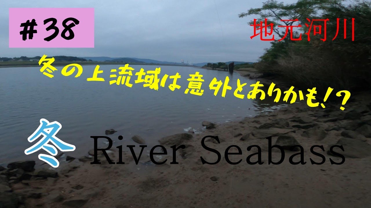 「11月釣行ダイジェスト＆１2月シーバスは上流がアツい・・・！？」  シーバス釣行日記＃38