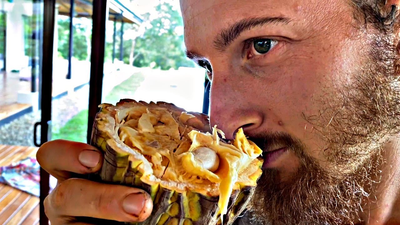 Trying Pataste Fruit for the First Time