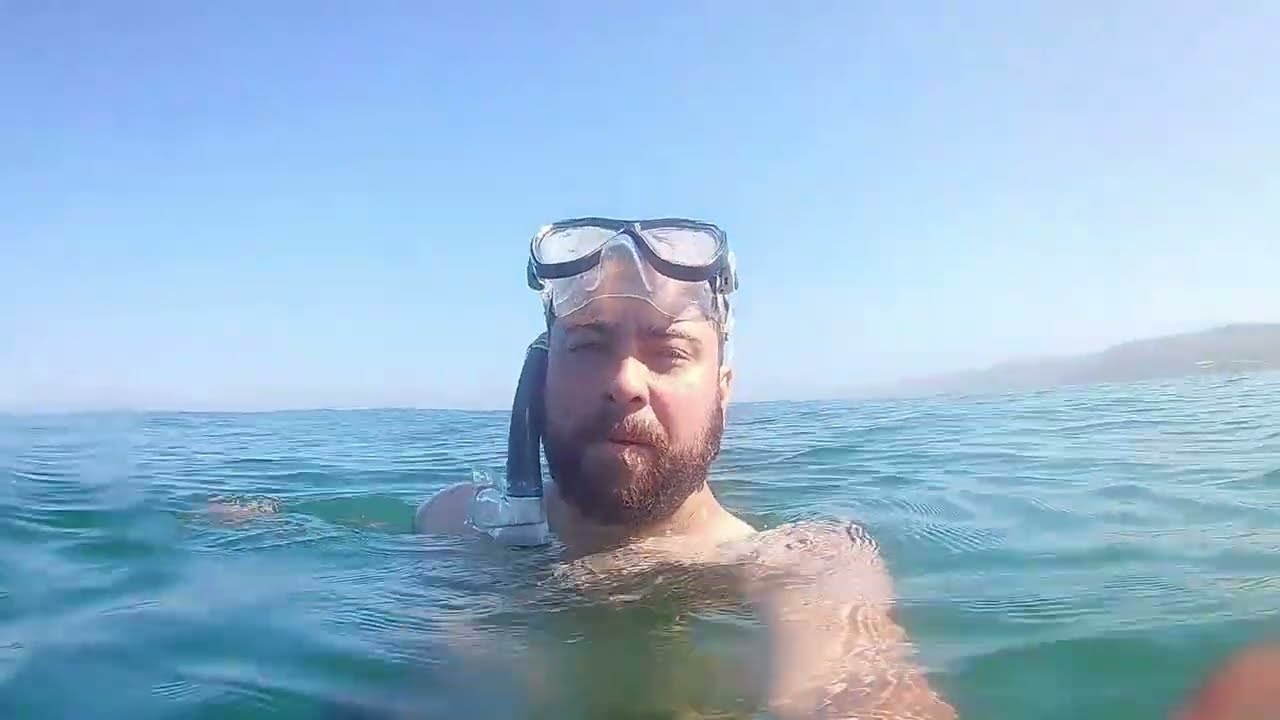 Open Ocean Swim: La Jolla Cove to La Jolla Shores and back
