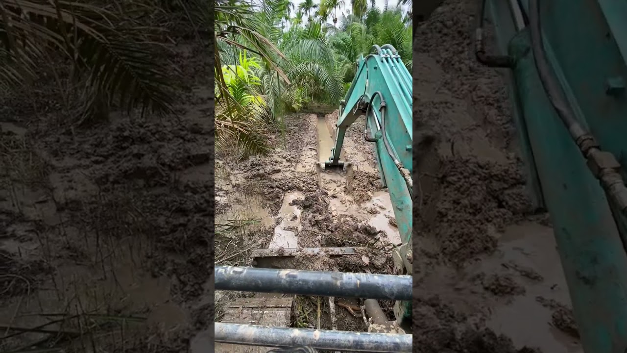 Gali parit cacing 1x1 kobelco sk50 #alatberat #exsapator #oprator #kobelcosk50 #galiparit