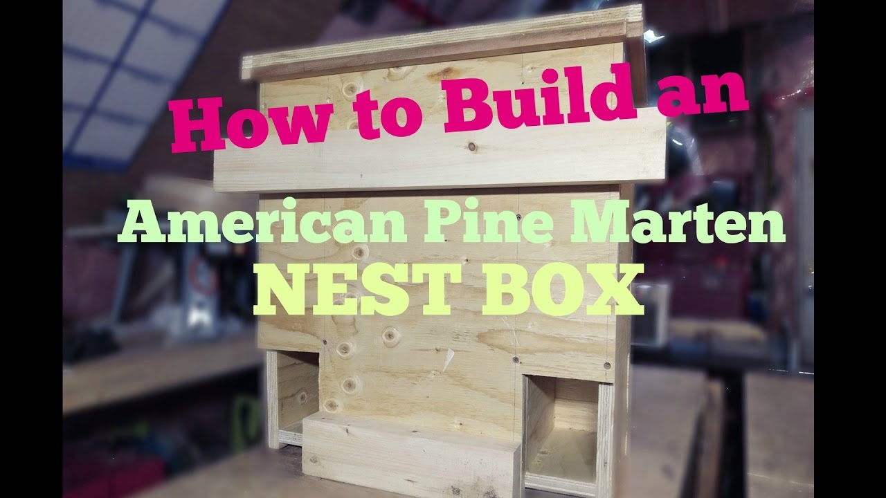 Making a Unique Pine Marten Nest Box