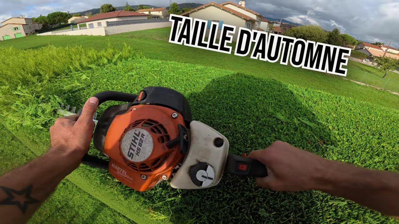 Taille d'automne 
