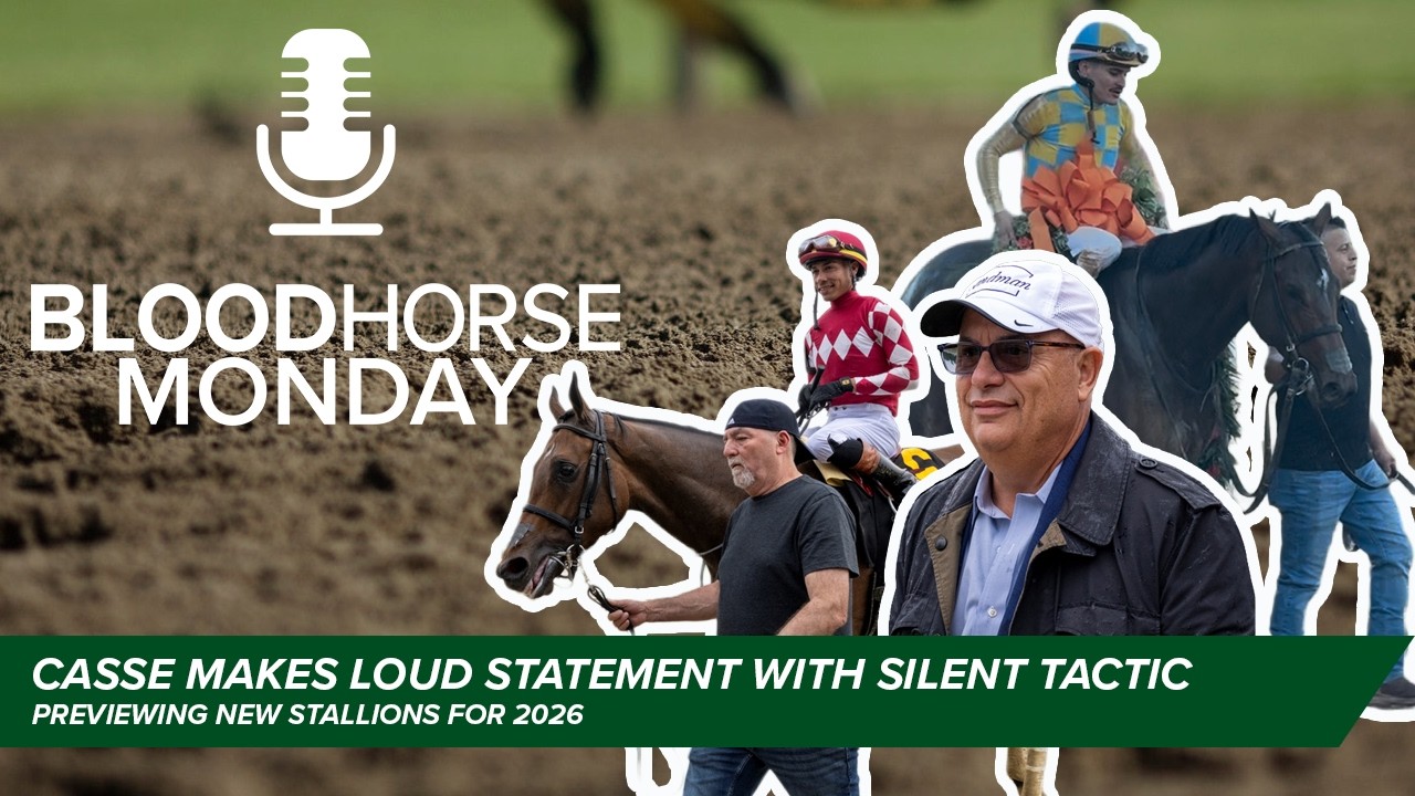 Silent Tactic's Southwest Tops Casse's Big Weekend, New Stallion Preview | BloodHorse Monday | E054