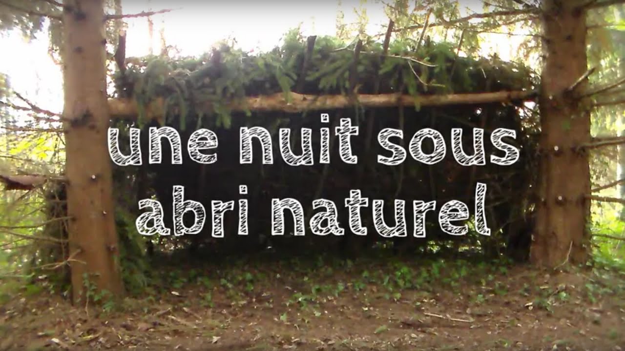Réaliser un abri naturel en appentis : Natural lean to shelter with fireplace : BBN