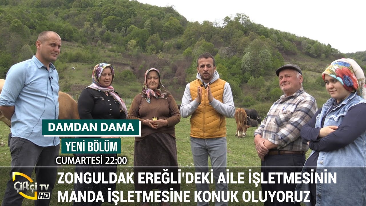 Zonguldak'ta Manda İşletmesi - DAMDAN DAMA #büyükbaş #hayvancılık #besicilik