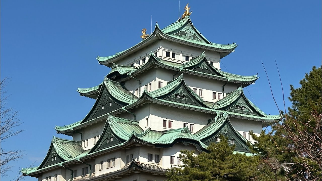 The Nagoya Castle At A Glance ⛩️🇯🇵 #japan #nagoya #tokyo #osaka #castle #nagoyacastle 